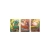 Riftbound Secret Garden Gift Box – Chińska wersja